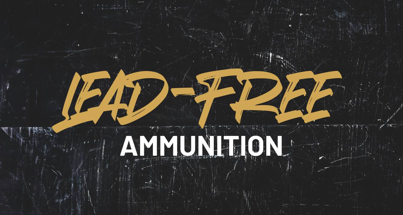 Lead-Free Banner